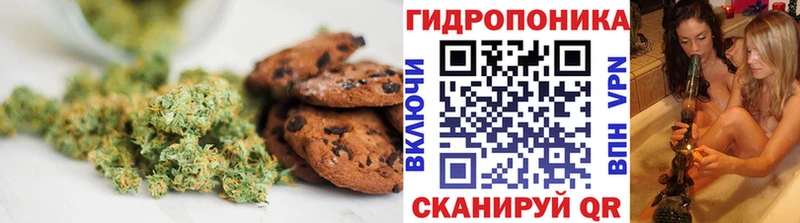 Еда ТГК конопля  ОМГ ОМГ зеркало  Асино 