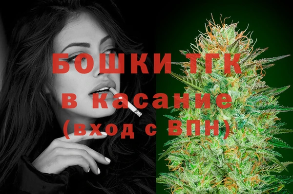 крисы Аркадак