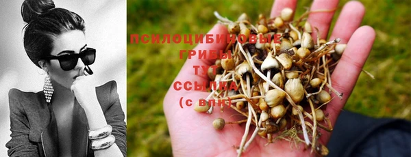 гашиш Армянск