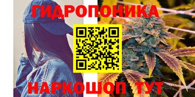 ALPHA PVP Ачхой-Мартан