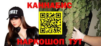 шишки Аша