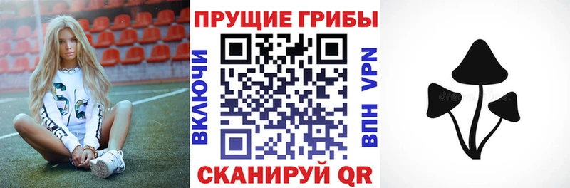 Галлюциногенные грибы GOLDEN TEACHER  Асино 