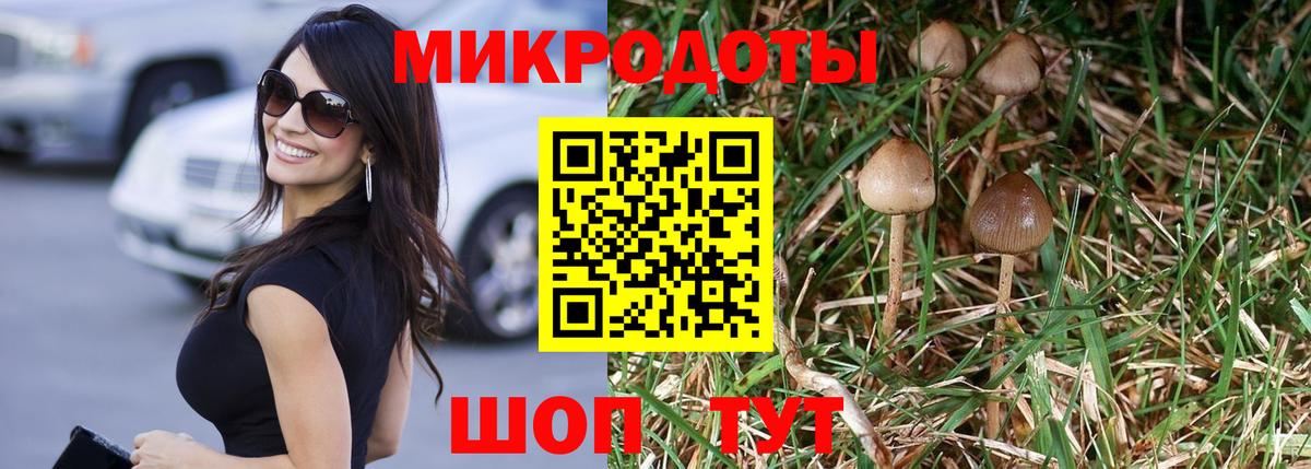 Галлюциногенные грибы мицелий Асино