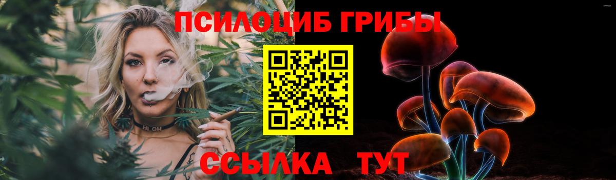 Псилоцибиновые грибы Psilocybe  Вход с VPN  Галлюциногенные грибы мицелий  Асино 