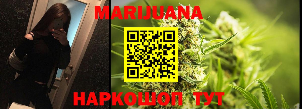 Асино  Марихуана план  Каннабис семена  Вход с VPN  Бошки марихуана AK-47  Марихуана THC 21% 